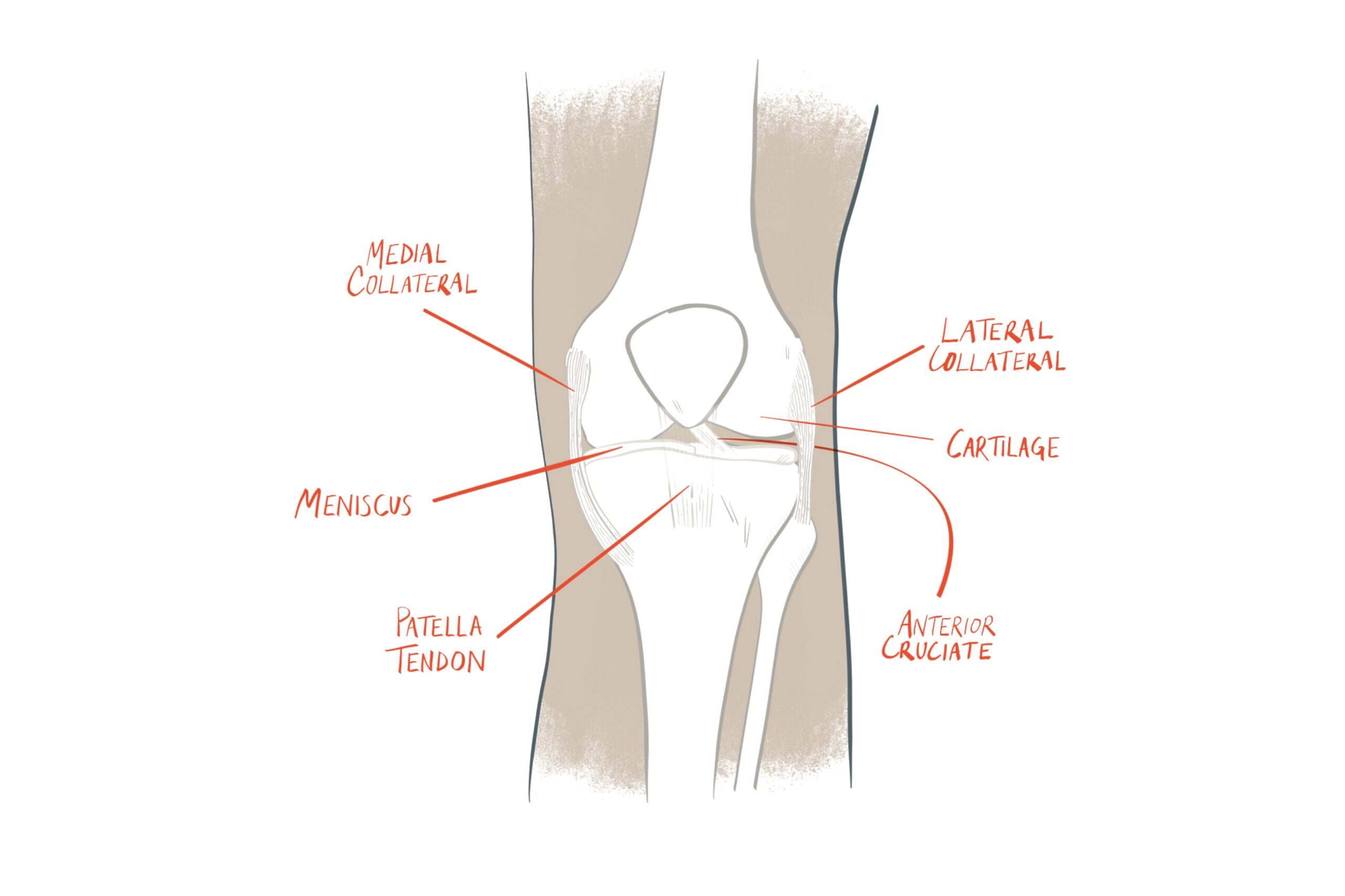 Patellofemoral knee pain: everything you need to know